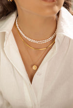 Load image into Gallery viewer, Snake Choker