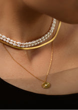 Load image into Gallery viewer, Snake Choker